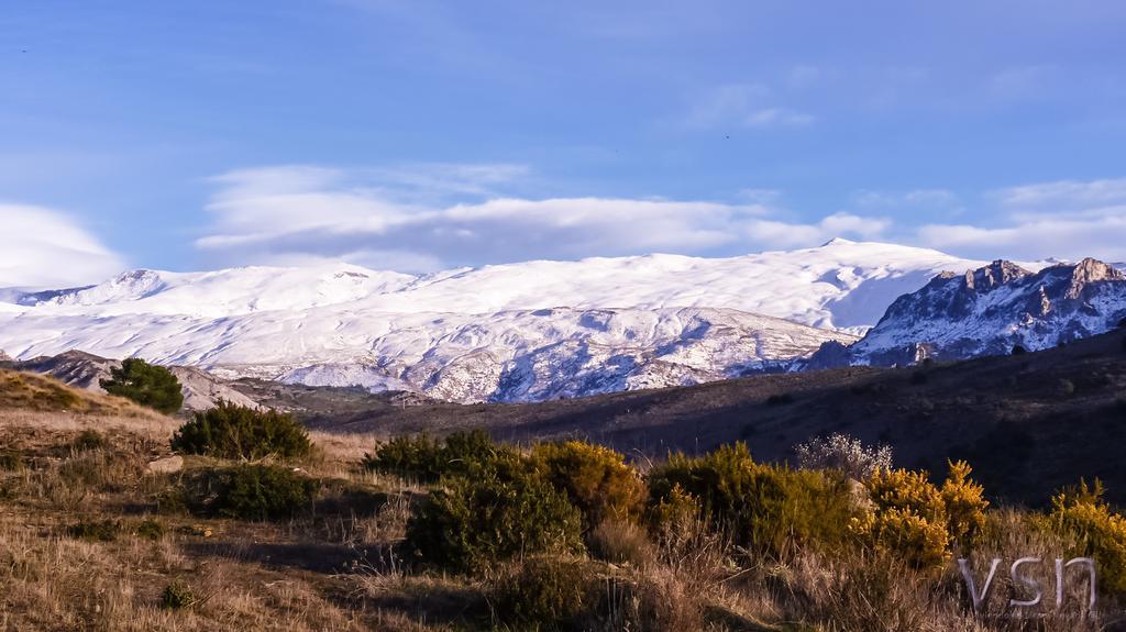 Green Peaks B&B Country House Alojamiento Rural Cortijo de Balsain Экстерьер фото
